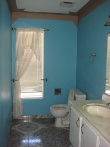 10downstairsbathroom